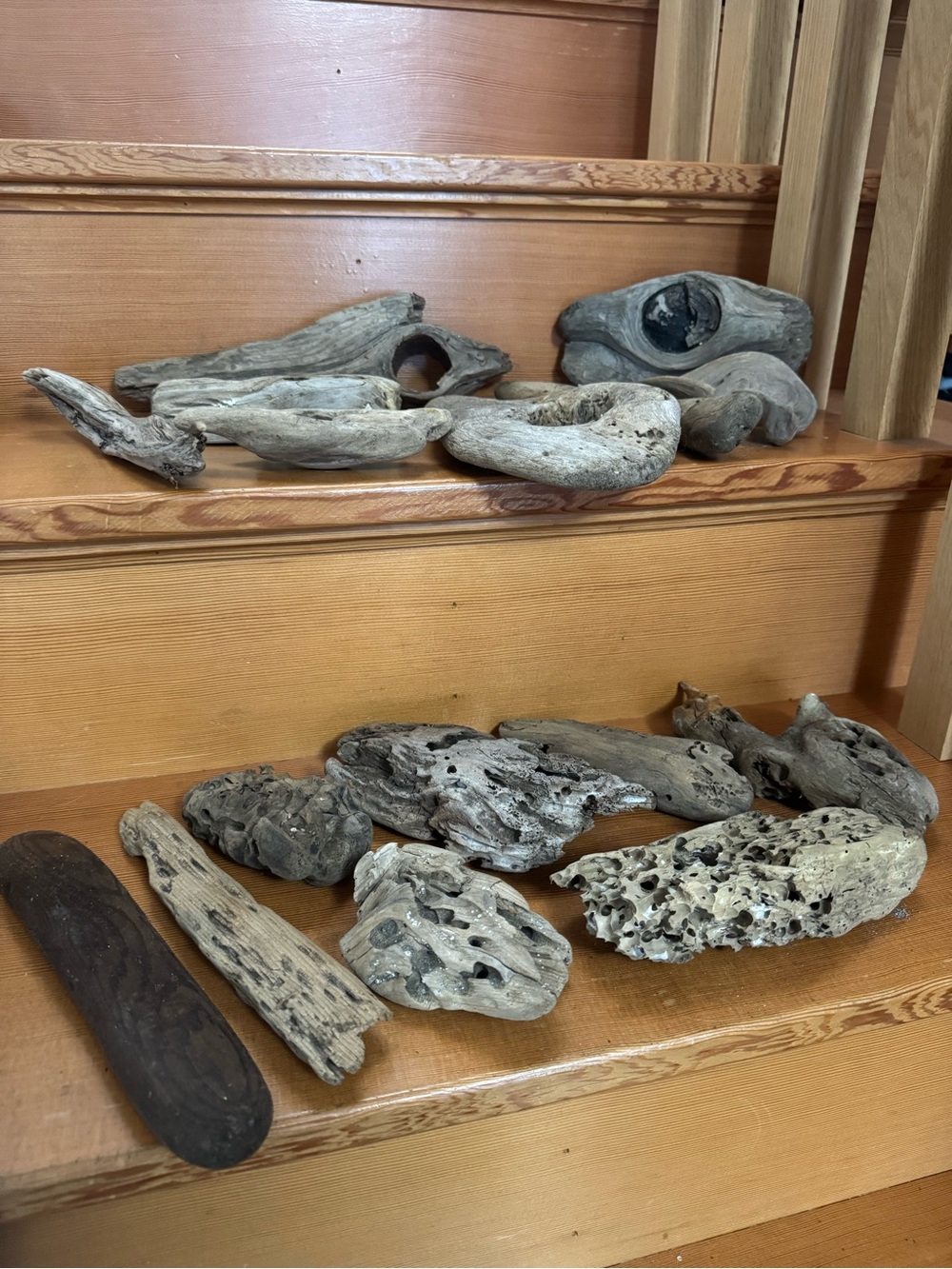16 pcs Pacific Northwest Natural Driftwood Mix Coastal Beach Decorative Decor